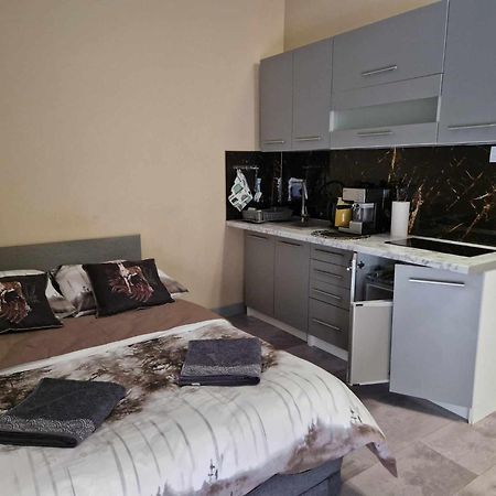 Lesny Zakatek Nr 2 Apartman Radzyń Kültér fotó